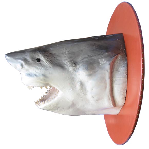Great White Shark Trophy Mount