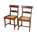 Set of 6 Caned Brazilian Rosewood Chairs