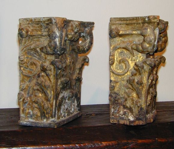 Pair of 18th c Italian giltwood corithian capitals that can be hung and used as brackets.