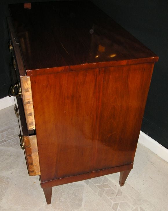 Baltic Fruitwood Two Drawer Commode