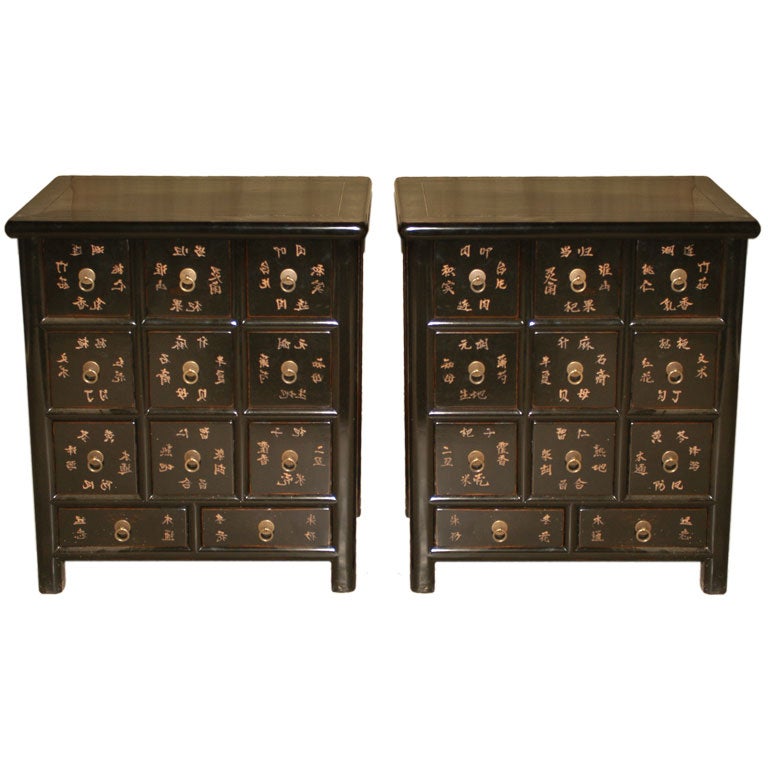 A Pair Of Black Lacquer Apothecary Chests