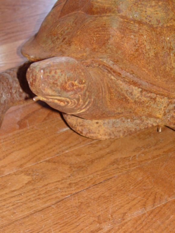 cast iron turtle