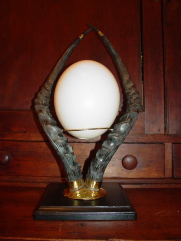Magnificent pair of Impala Horn stands holding South African Ostrich eggs on brass ring.Black laquered wooden base.
