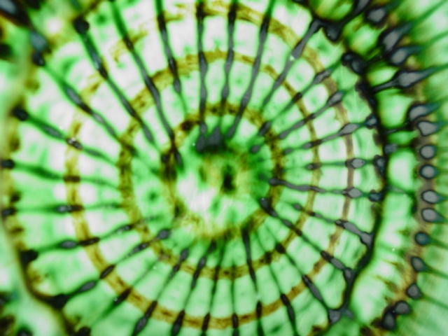 Ceramic Welsh Mid-Century Large Plate.