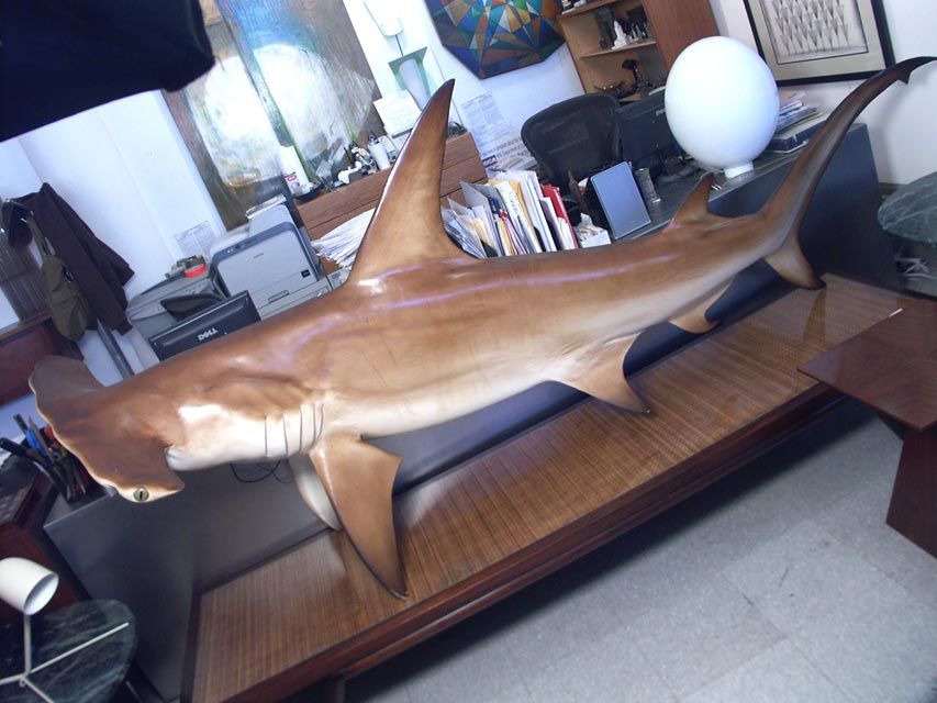 Truly wild and gigantic replica hammerhead shark. While it would be a stretch to call it taxidermy, the original jaws and teeth are incorporated into the structure. Nearly 10' in length, it has been fashioned to be wall mounted.