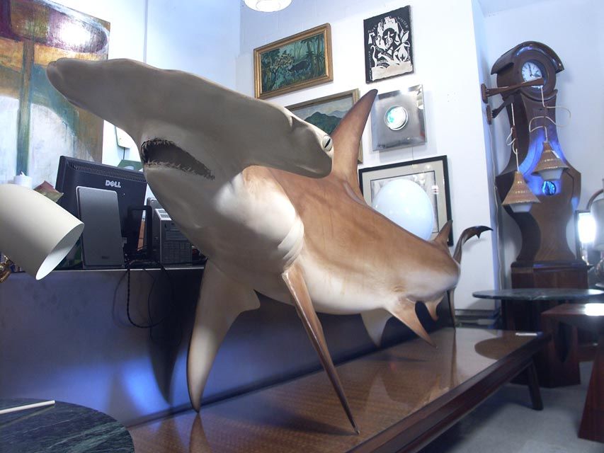 20th Century DONT GO IN THE WATER!!!!!! 10' HAMMERHEAD SHARK!!!!
