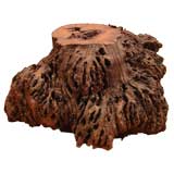 rosewood root burl stump