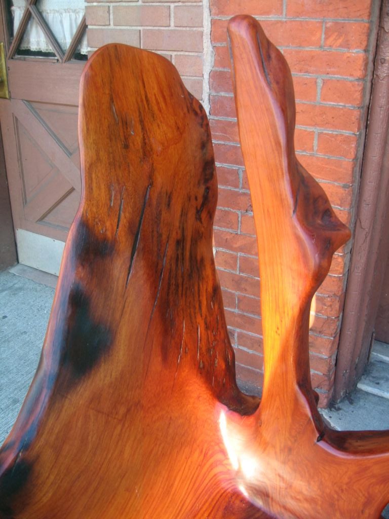 A Pair of Naturalist Chairs