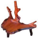 A Pair of Naturalist Chairs