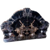Rich Petrified Wood “Black Knight” Bookends
