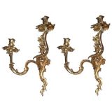 Pair of Louis XV Style Gilt-Bronze Sconces