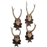 Four Mounted Sets of Faux 'Jackalope' Antlers