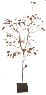 Curtis Jere Tree Sculpture Curtis Jere Tree Sculpture