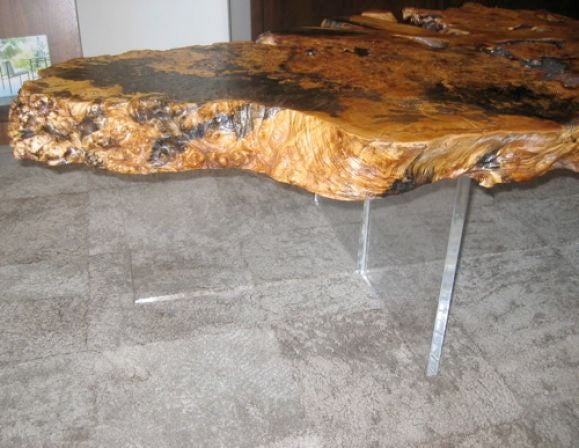 Burlwood Coffee Table with Lucite Base