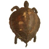 A School Model of a Turtle, circa 1900