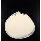 Robert Hansen, Mt. Whitney, 1964