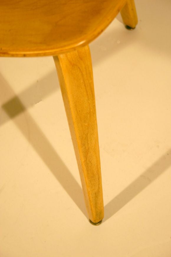 American Set of 12 bent plywood Thonet dining chairs
