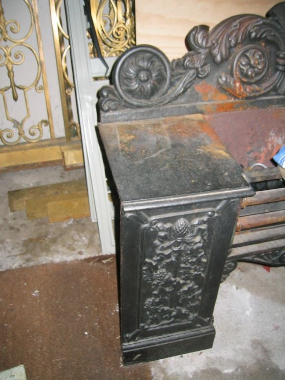 19th Century Fine Victorian Cast Iron Fireplace Insert