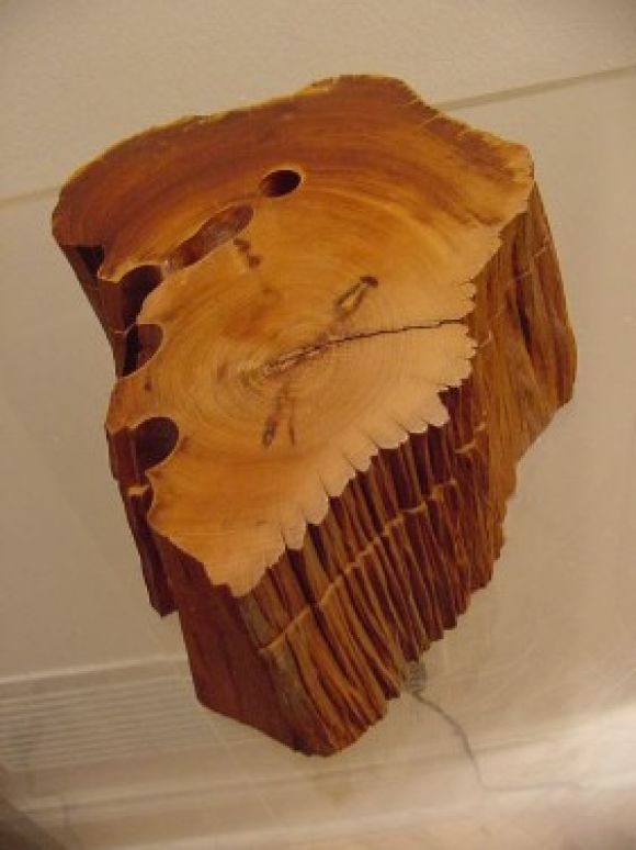 Organic form Tree Box in the manner of George Nakashima