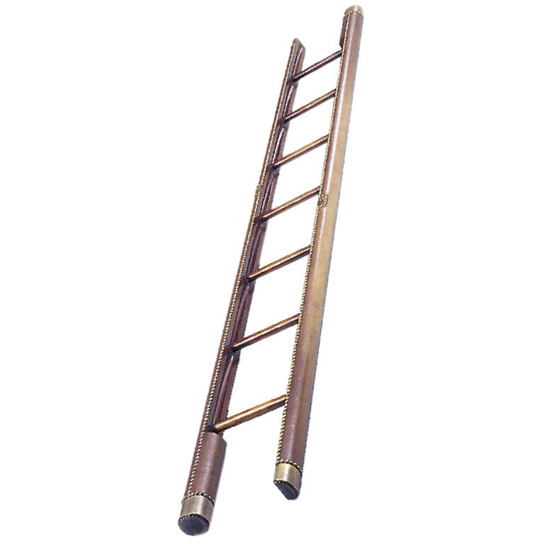 A Fine Library folding pole ladder