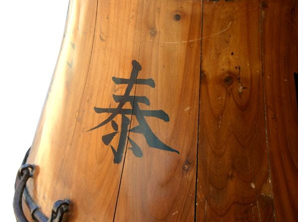 Chinese Elm and Iron Well Bucket