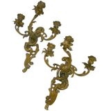 A Pair of Louis XV Gilt Bronze Rococo Sconces A Pair of Louis XV Gilt Bronze Rococo Sconces