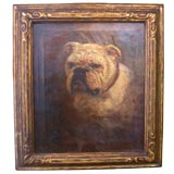 Antique English Bulldog Oil on Canvas