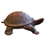 "turtle"