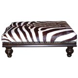 new zebra ottoman