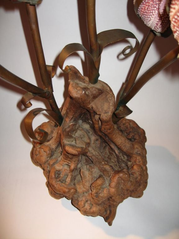 Thompkins of Key West Manzanita Burl  & Sea Urchin Table Lamp