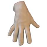 Hand Sculpture