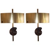 Pair of Ammonite Wall Sconces