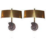 A Pair of Ammonite Wall Sconces