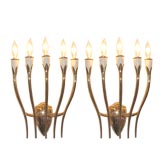 A Stunning Pair of Five Arm Wall Sconces by Gio Ponti