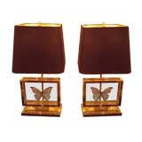 A Pair of Nickled Table Lamps with Butterfly's Under Glass