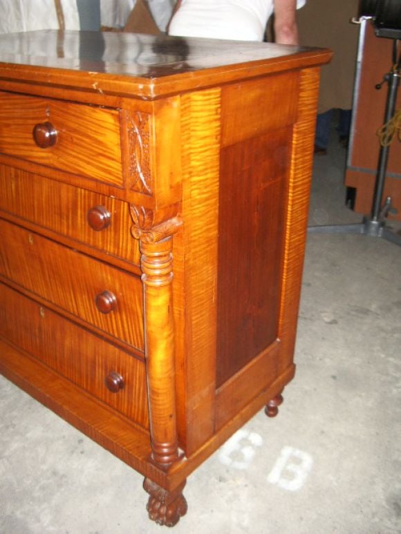 19th Century American Tiger Maple Chest For Sale