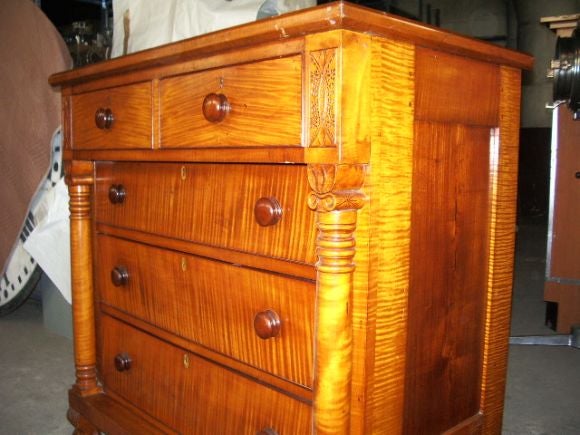 American Tiger Maple Chest For Sale 2