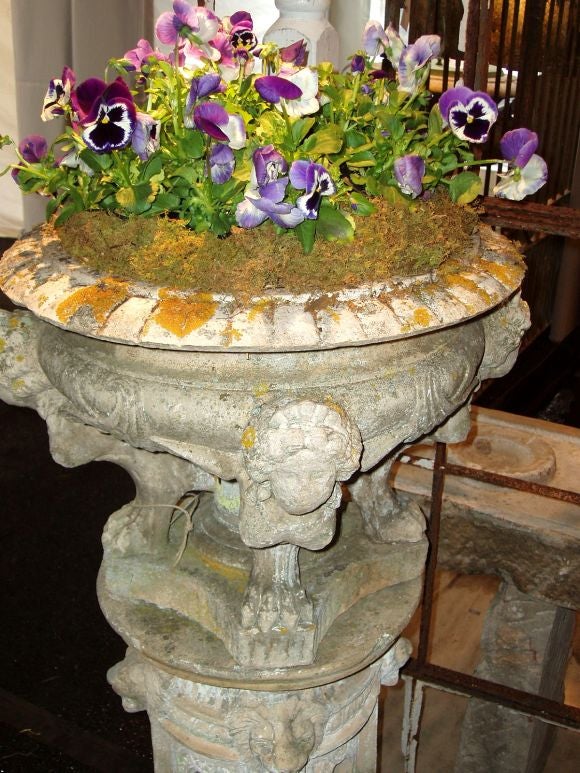Decorative Urn and Plinth