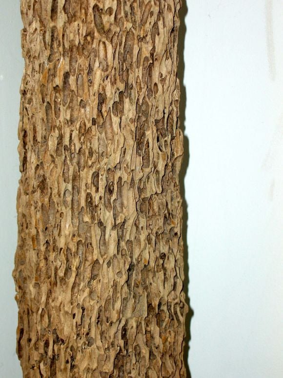 Teak Weathered Sea Element at 1stdibs Teak Weathered Sea Element at 1stdibs