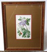 19th C. French Lithograph Hand colored