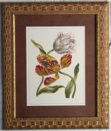 Reproduction  French Lithograph Custom Frame