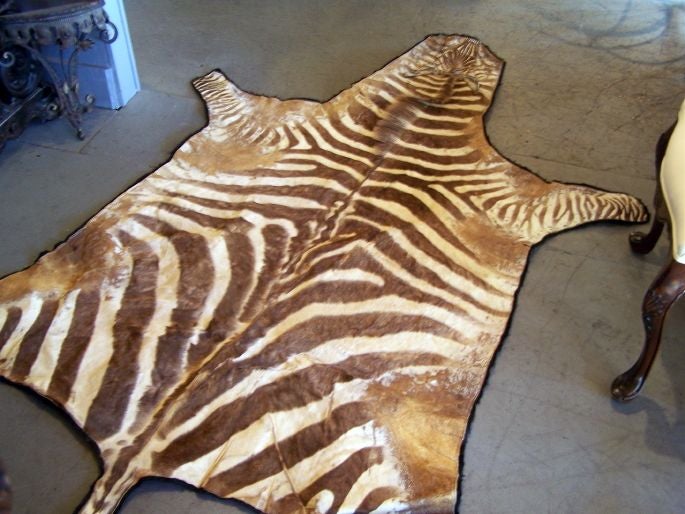 Vintage zebra skin with lots of character. Warm muted brown tone stripes, and felt backing. Measurements do not include tail.