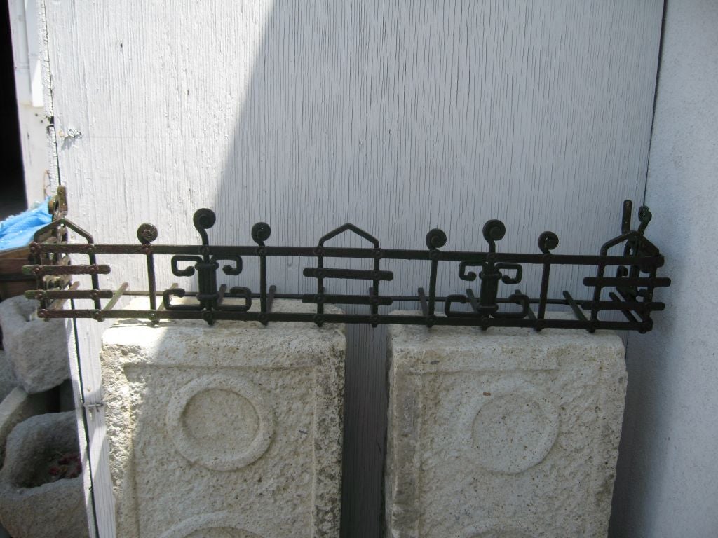 Successional  window plant holder