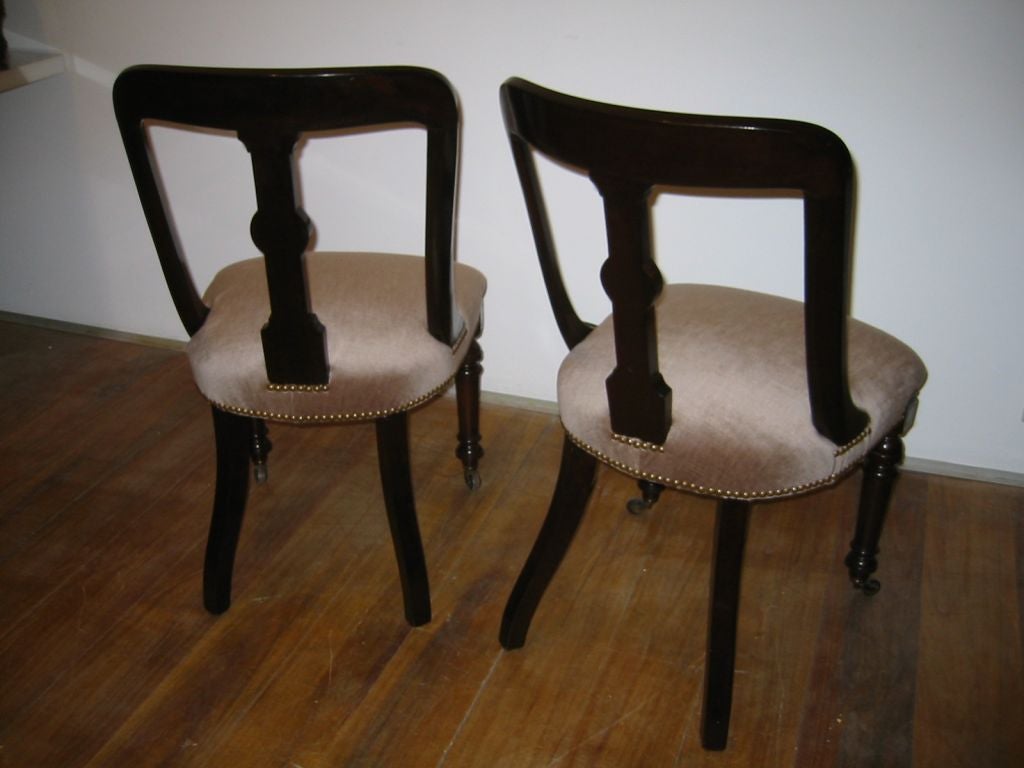 Nice pair of antique mahogany hall chairs,with spoon shape carved back and turned front legs on wheels.Newly upholstered.