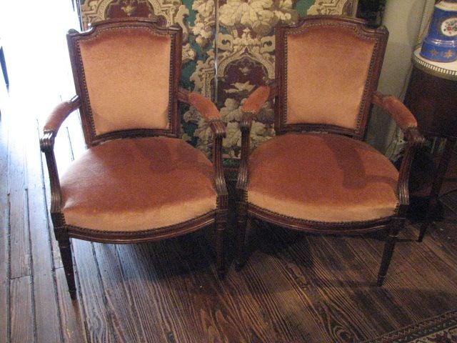 Pair of French Napoleon III period beechwood fauteuils with Cannelle legs and 