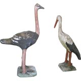 The Ostrich & The Stork