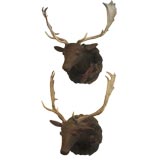 Pair of Terracotta Deer Heads
