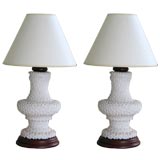 Used Pair of Coral lamps