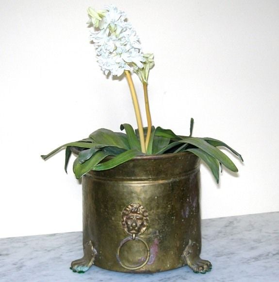 Brass Paw Footed, Lion Motif w/rings, Cachepot/old coal pot, with plastic liner