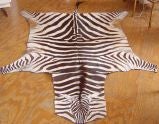 Zebra Skin Rug Vintage